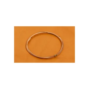 Richter Strings 12-53 Acoustic PH