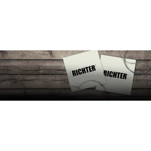 Richter Strings 9-42 Electric Guitar