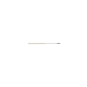 Rohema Baton "Mozart"