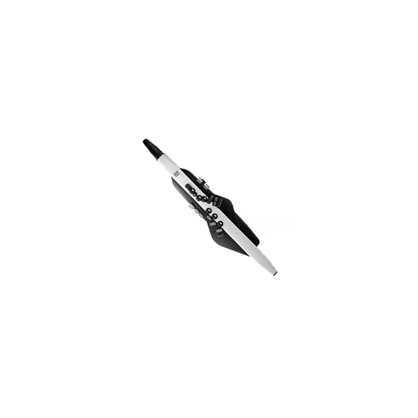 Roland Aerophone AE-20