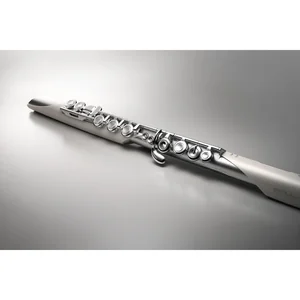 Roland Aerophone AE-Brisa