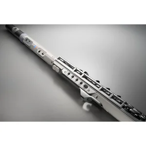 Roland Aerophone AE-Brisa