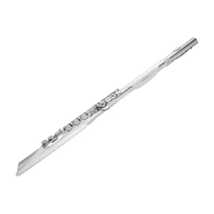 Roland Aerophone AE-Brisa