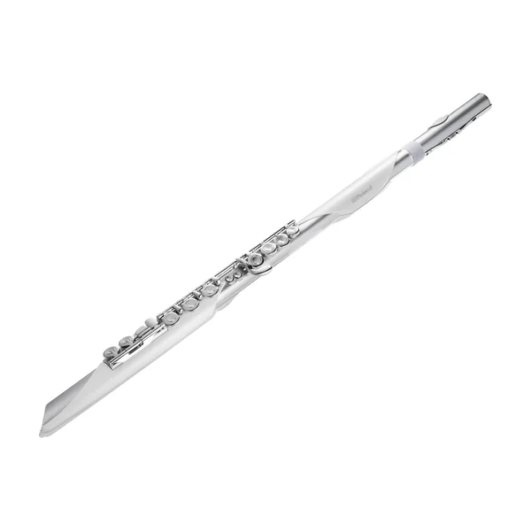 Roland Aerophone AE-Brisa