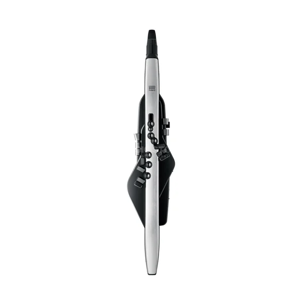 Roland Aerophone Pro AE-30