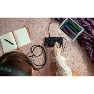 Roland AIRA Compact E-4 Voice Tweaker