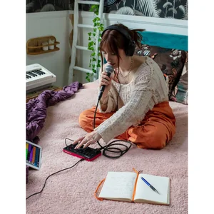 Roland AIRA Compact E-4 Voice Tweaker