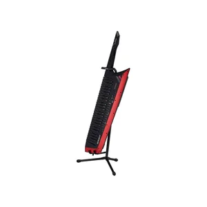 Roland AX-Edge ST-AX2