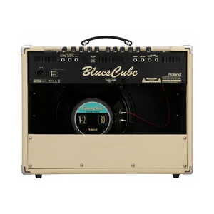 Roland Blues Cube Artist