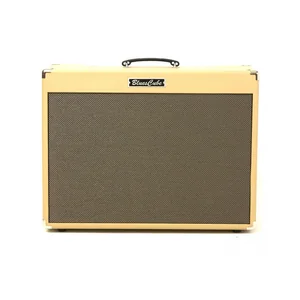 Roland Blues Cube Artist