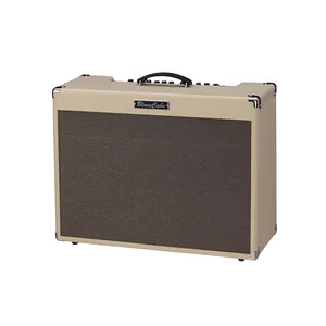 Roland Blues Cube Artist