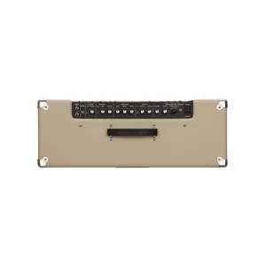 Roland Blues Cube Artist