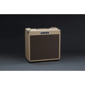 Roland Blues Cube Hot VB