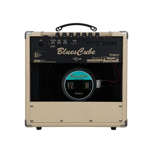 Roland Blues Cube Hot VB