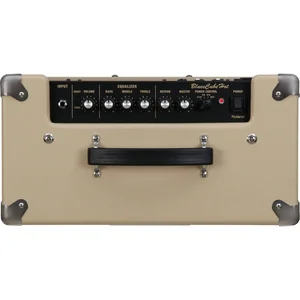 Roland Blues Cube Hot VB
