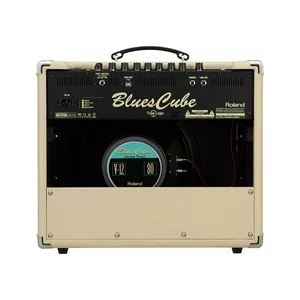 Roland Blues Cube Stage