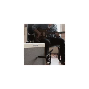 Roland Blues Cube Stage