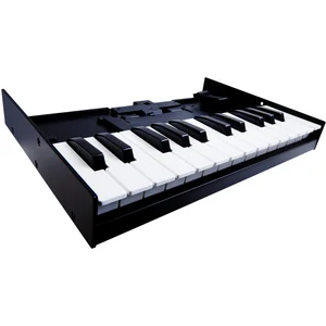Roland Boutique K-25m Keyboard