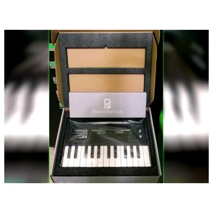 Roland Boutique K-25m Keyboard
