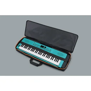 Roland CB-V61