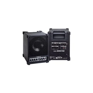 Roland CM-30 Cube Monitor