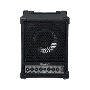 Roland CM-30 Cube Monitor