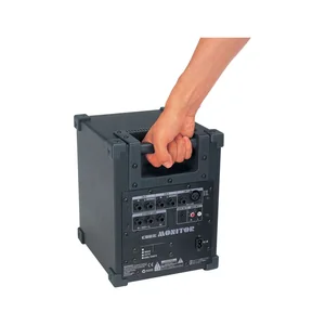 Roland CM-30 Cube Monitor