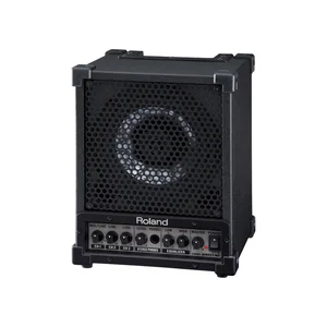 Roland CM-30 Cube Monitor