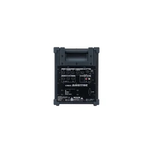 Roland CM-30 Cube Monitor