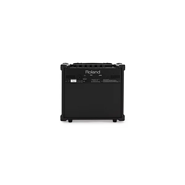 Roland Cube-10GX