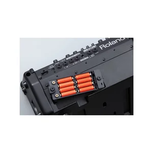 Roland Cube Street EX