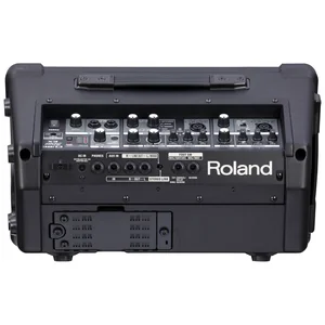 Roland Cube Street EX
