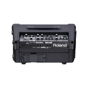 Roland Cube Street EX