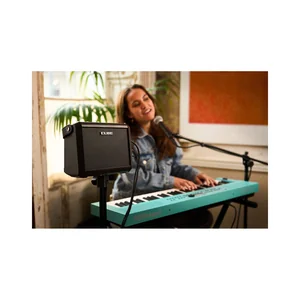 Roland Cube Street Mini