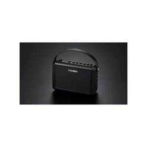 Roland Cube Street Mini
