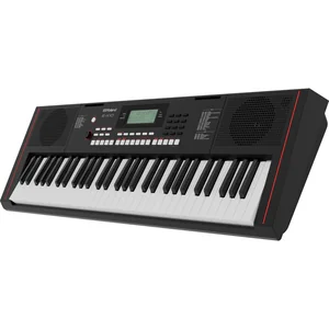 Roland E-X10 Deluxe Bundle