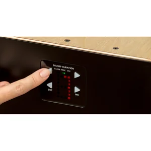 Roland EC-10 EL Cajon