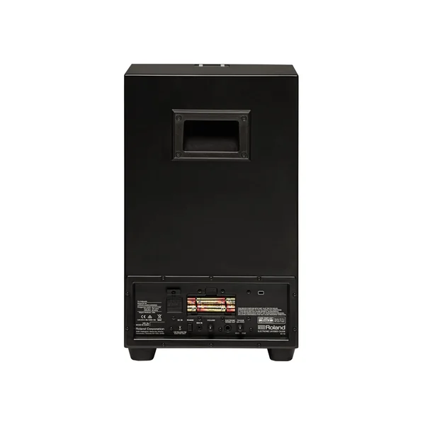 Roland EC-10 EL Cajon