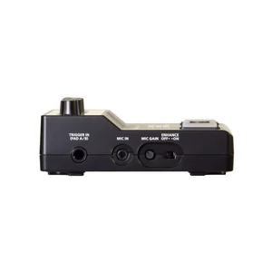 Roland EC-10M ELCajon Mic Processor