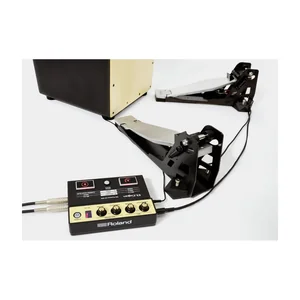Roland EC-10M ELCajon Mic Processor