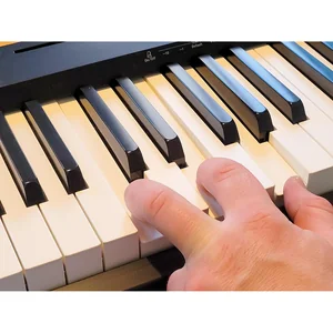 Roland FP-10 Set