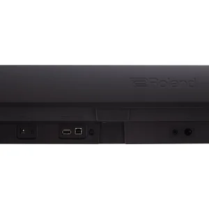 Roland FP-10 Set