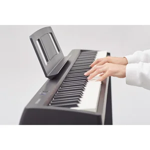 Roland FP-10 Set