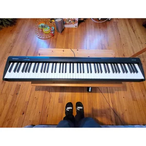 Roland FP-10 Set