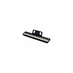 Roland FP-10 Stand Bundle