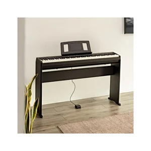 Roland FP-10 Stand Bundle