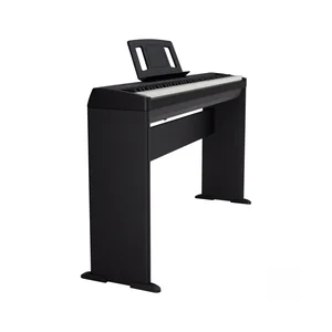 Roland FP-10 Stand Bundle