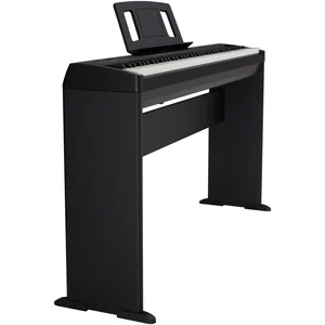 Roland FP-10 Stand Bundle