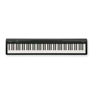 Roland FP-10