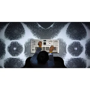 Roland GAIA 2